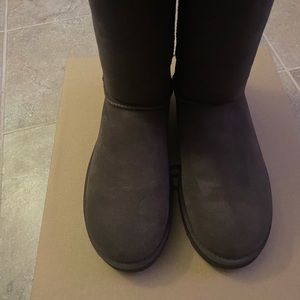 Brand new uggs never worn